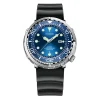 FOXBOX Sports Luminous 50m Waterproof Watch - Silver/Blue