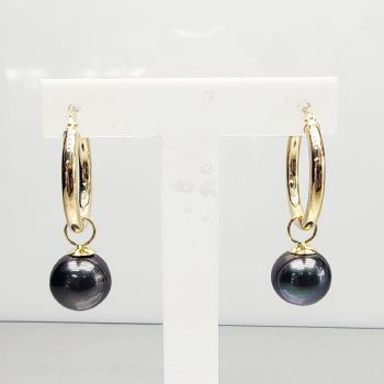 9ct Yellow Gold Tahitian Black Pearl Hoop Earrings 10.5–11.0mm High Lustre Pearls - 9CTTLZ  