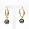 9ct Yellow Gold Hoop Style Tahitian Black Pearl Earrings - 9CTPZZ