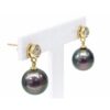 9ct Yellow Gold Tahitian Black Pearl & CZ Drop Earrings - 9CTPRZCZ
