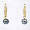 9ct Yellow Gold Tahitian Black Pearl Hoop Earrings 20mm - 9CTRPZ