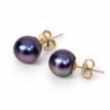 9ct Yellow Gold Tahitian Black Pearl Stud Earrings – 9.50mm - 9CTTZZ