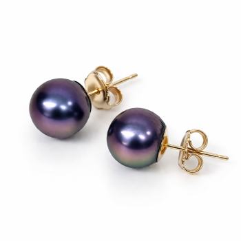 9ct Yellow Gold Tahitian Black Pearl Stud Earrings – 9.50mm - 9CTTZZ  