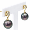 9ct Yellow Gold Tahitian Black Pearl & CZ Drop Earrings - 9CTPRZCZ