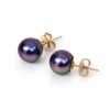 9ct Yellow Gold Tahitian Black Pearl Stud Earrings – 9.50mm - 9CTTZZ