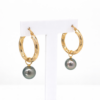 9ct Yellow Gold Hoop Earrings with 9mm-10mm Tahitian Pearls - 9CTRVZ