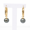 9ct Yellow Gold Twist Hoop Earrings with Tahitian Black Pearls - 9CTPYZ