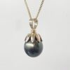 9CT Yellow Gold Tahitian Black Pearl Pendant – 11.5mm–12mm Teardrop Pearl - 9CTTZZTBP