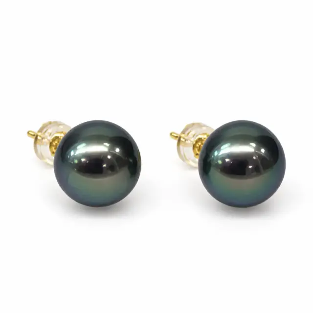 11–12mm Tahitian Black Pearl Stud Earrings in 18ct Yellow Gold – Peacock Colour