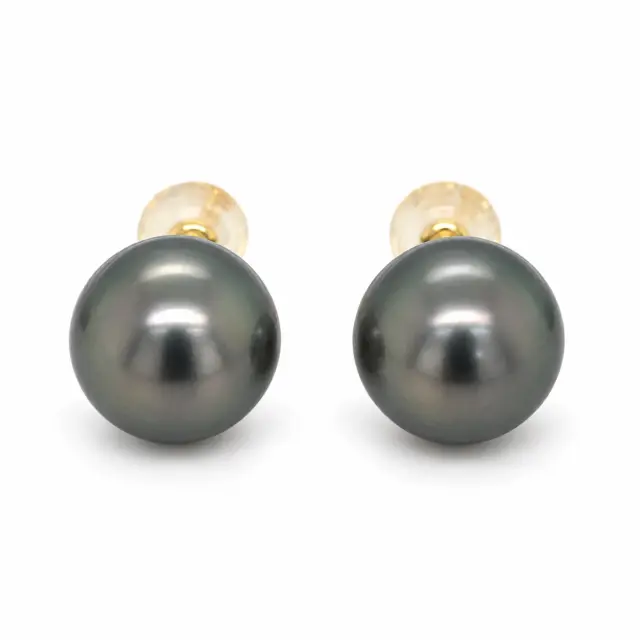 18ct Yellow Gold 9.0-10.0mm Tahitian Black Pearl Stud Earrings
