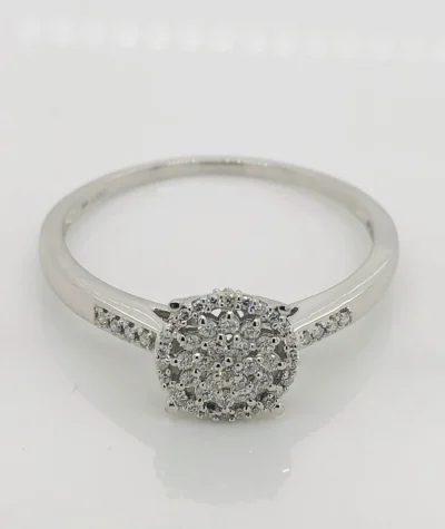 9ct White Gold Ladies Diamond Cluster Ring- TDW 0.25ct