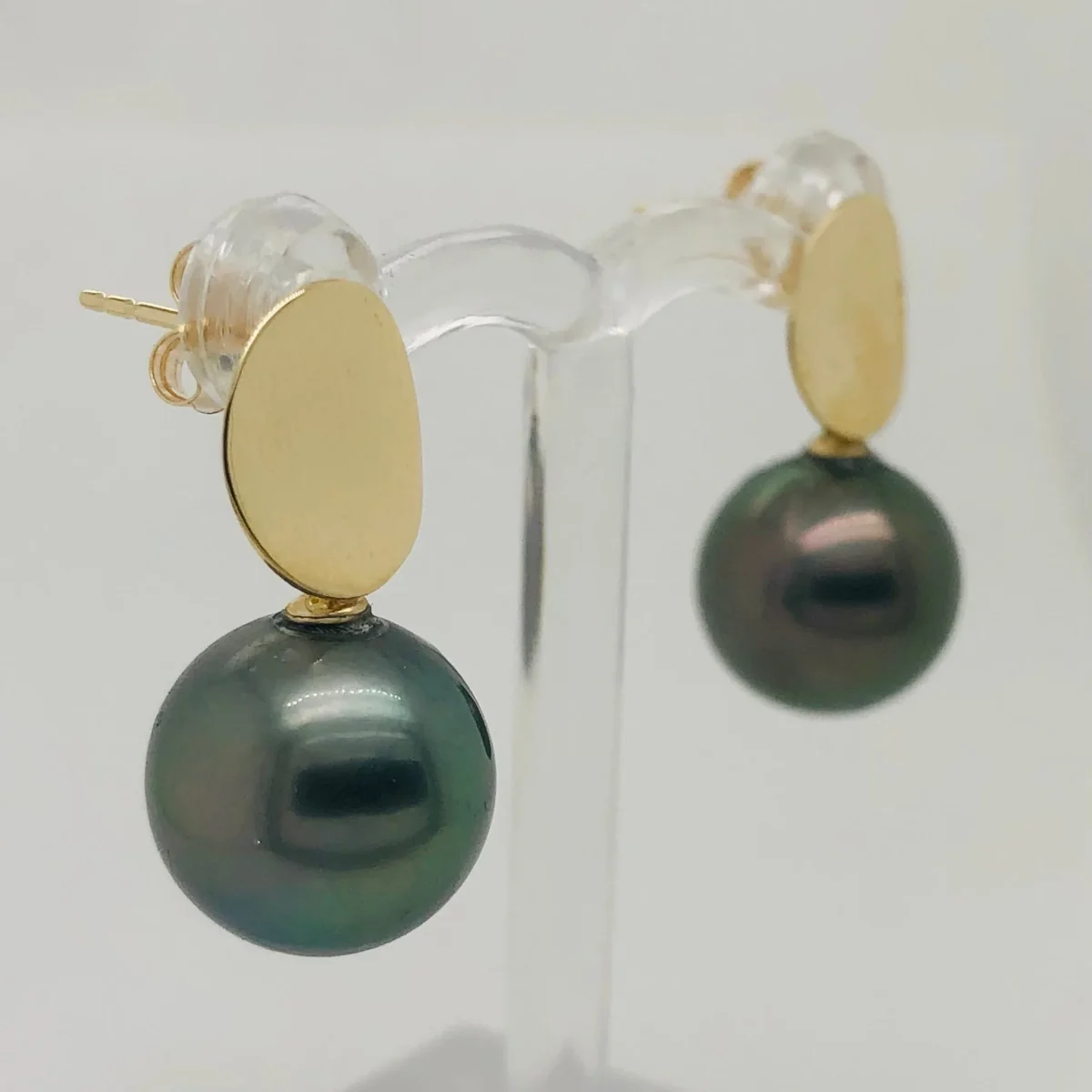 9ct Yellow Gold 11.50-12.00mm Tahitian Black Pearl Stud Earrings