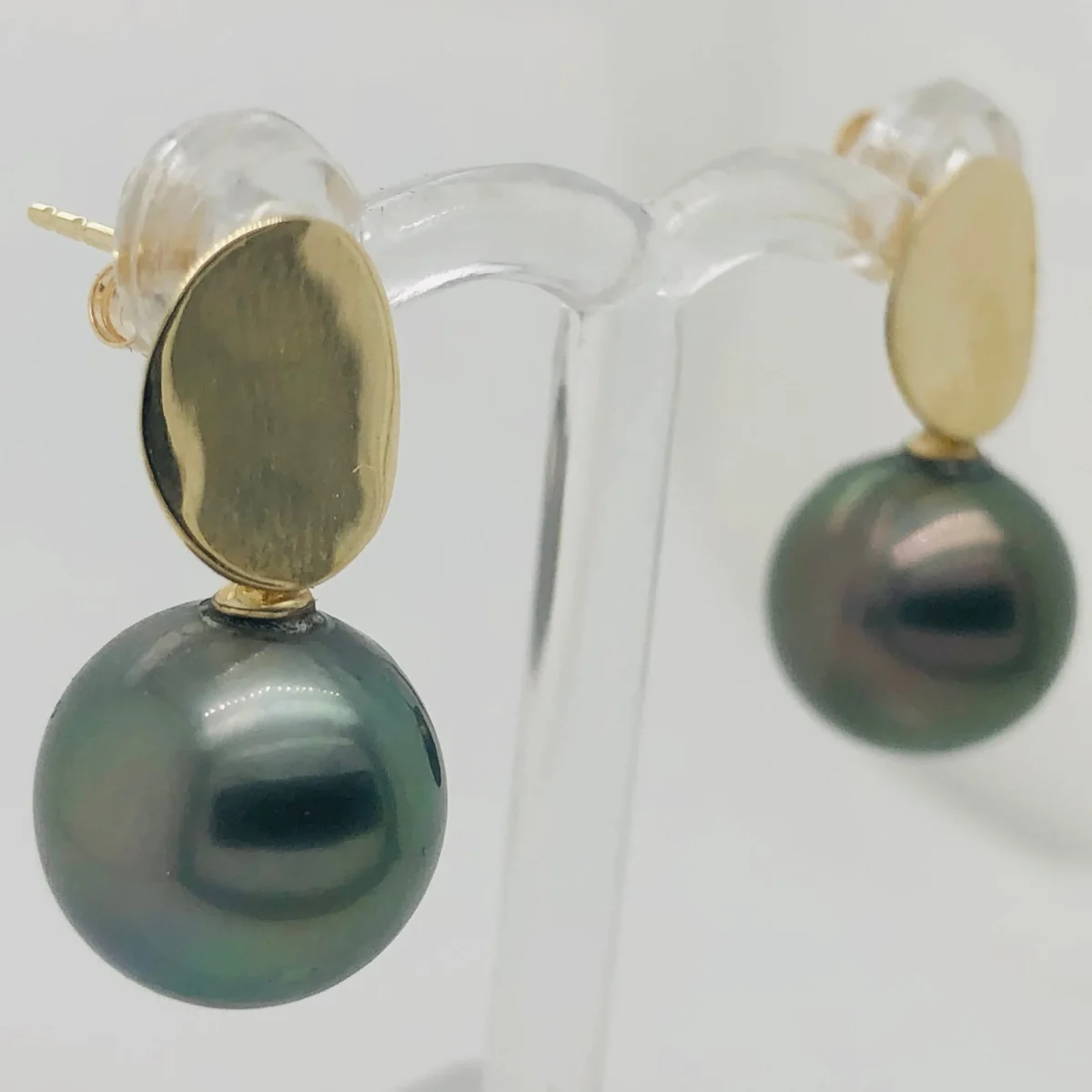 9ct Yellow Gold 11.50-12.00mm Tahitian Black Pearl Stud Earrings