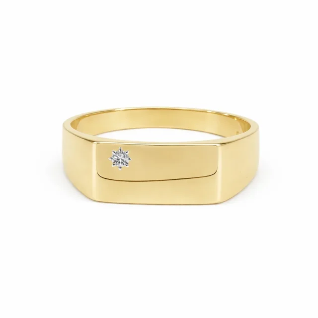 9ct Yellow Gold Gents Signet Ring with 0.015ct Natural Diamond (6.40mm x 14.40mm Top) - 9YGD9470