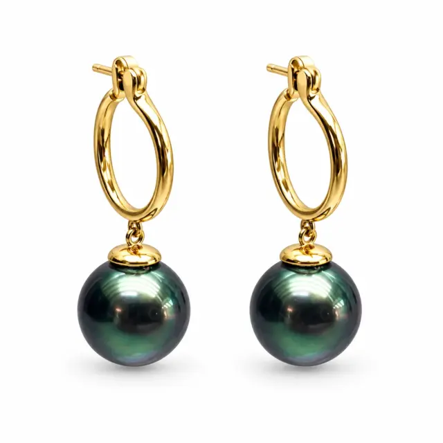 9ct Yellow Gold Tahitian Black Pearl Hoop Earrings 10.5–11.0mm Peacock Pearls - 9CTTZZ