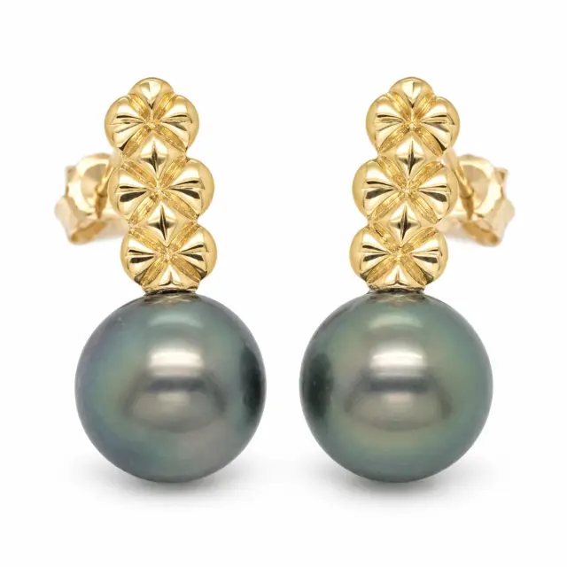 9ct Yellow Gold with Round Tahitian Black Pearl 9.0mm - 10.0mm Drop  Stud Earrings