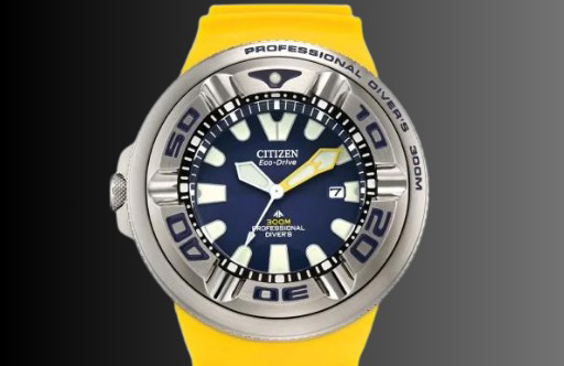 Citizen Eco Drive Promaster Diver Watch