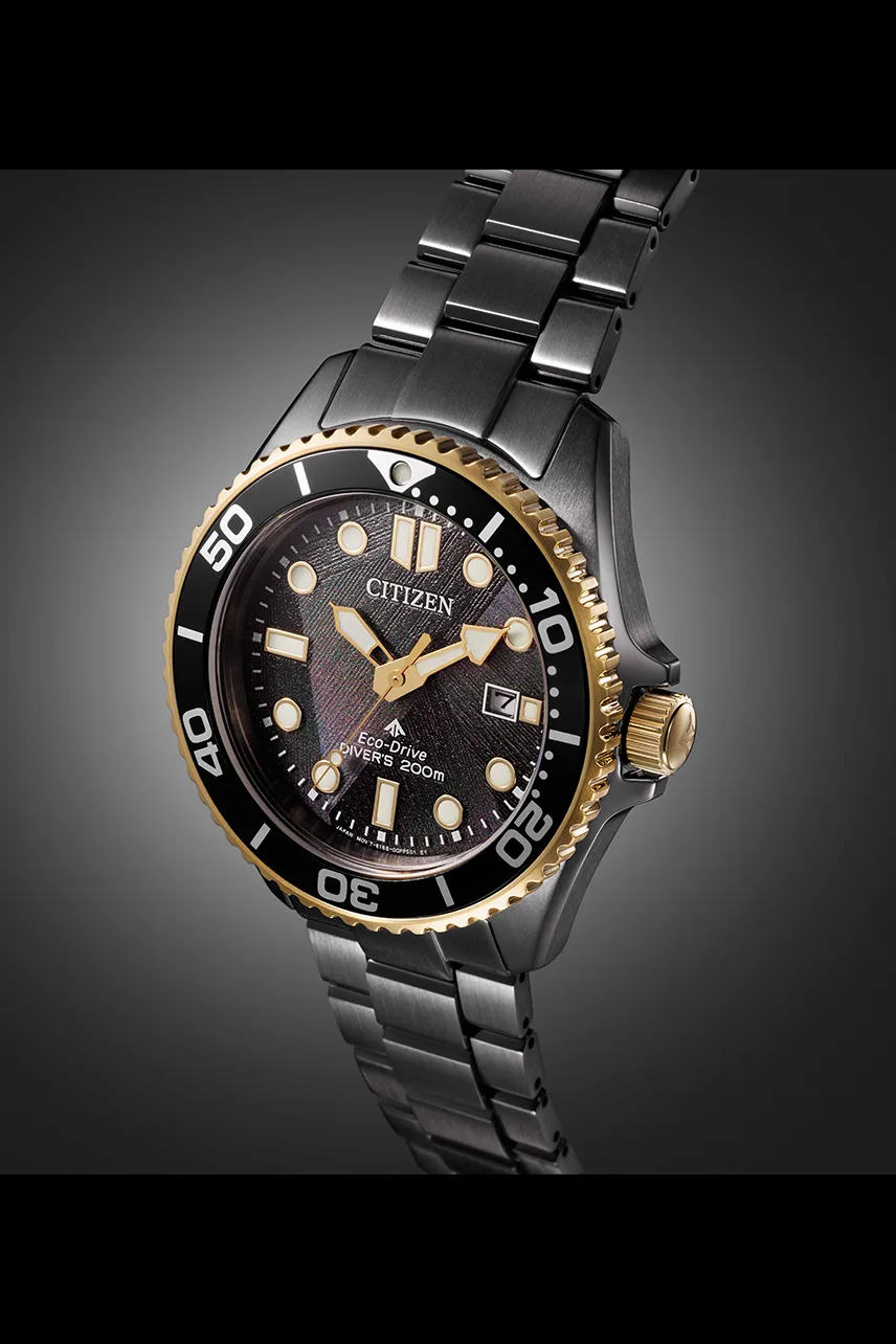 Citizen Promaster Marine Eco-Drive 200M Diver Black Dial Stainless Steel Watch BN0264-53E