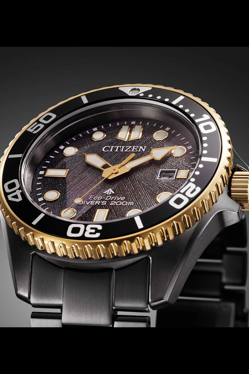 Citizen Promaster Marine Eco-Drive 200M Diver Black Dial Stainless Steel Watch BN0264-53E