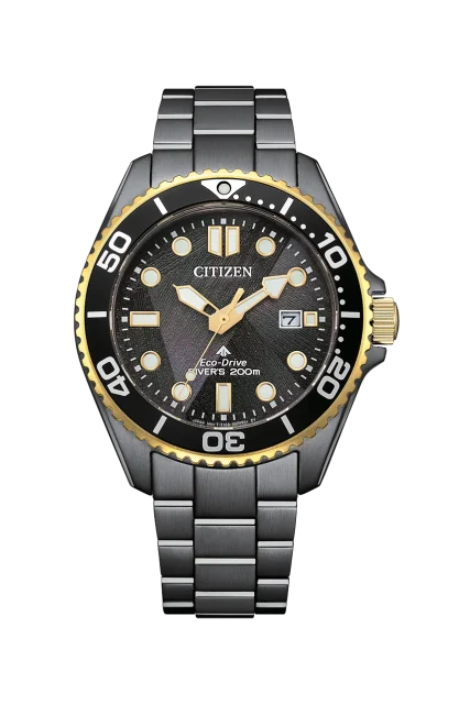Citizen Promaster Marine Eco-Drive 200M Diver Black Dial Stainless Steel Watch BN0264-53E