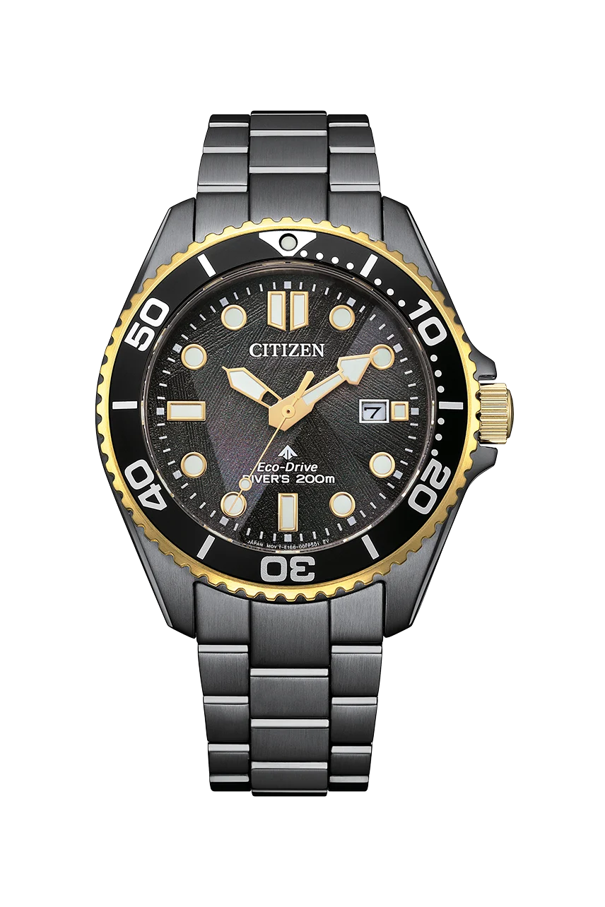 Citizen Promaster Marine Eco-Drive 200M Diver Black Dial Stainless Steel Watch BN0264-53E