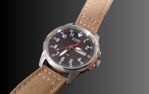 Citizen Eco Drive Chandler Field Watch